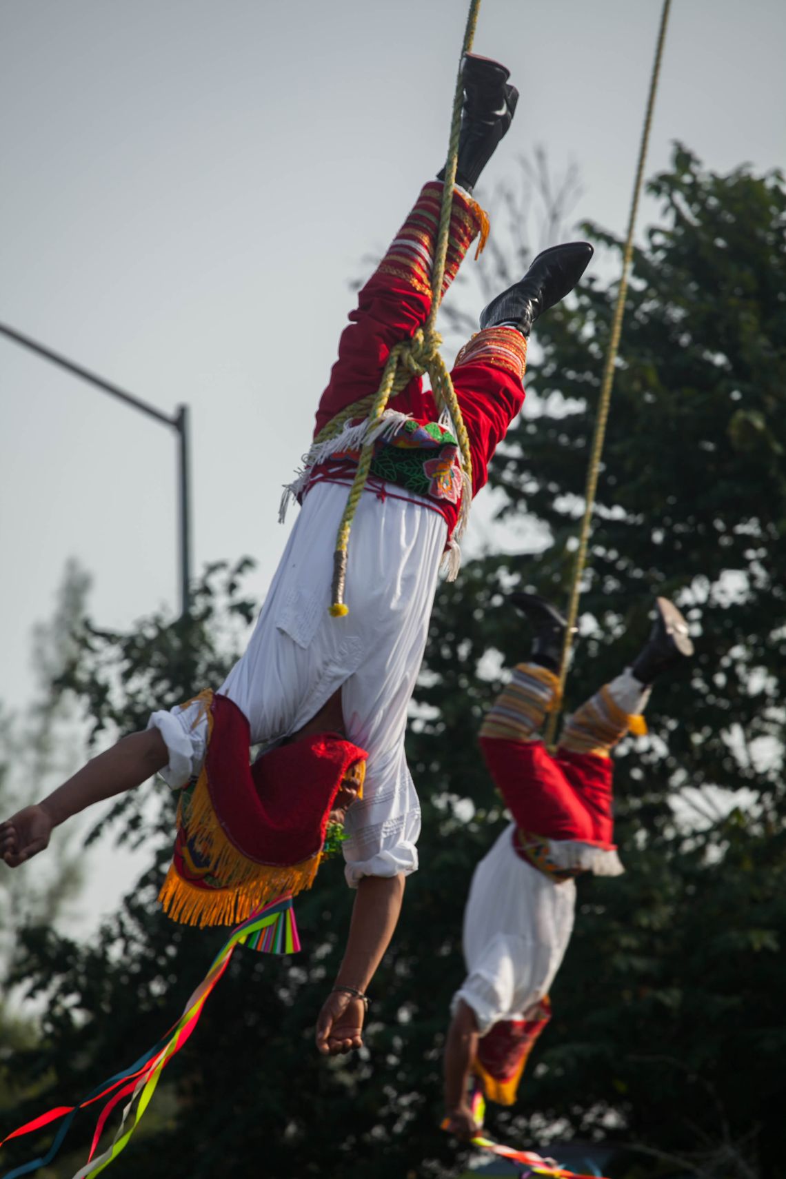 A man and a child descend to the ground attached to a rope as part of a ritual.