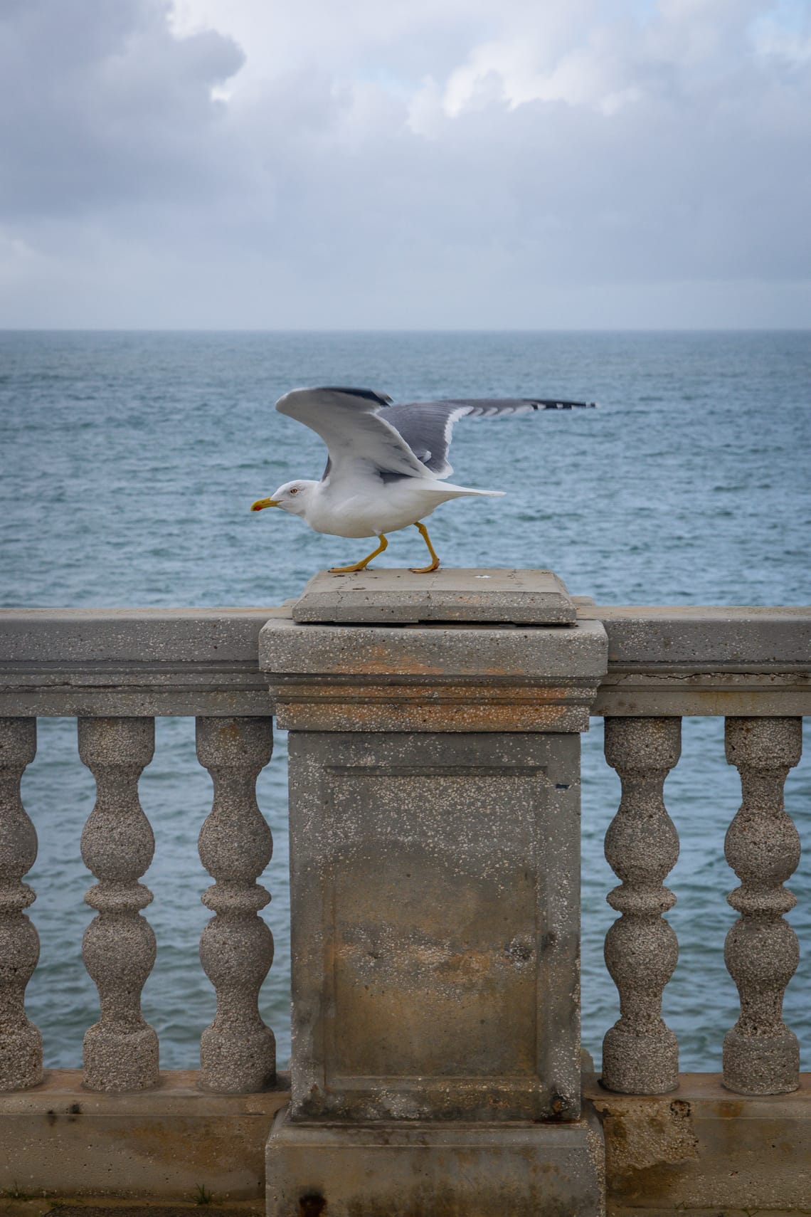 Cádiz, Spain