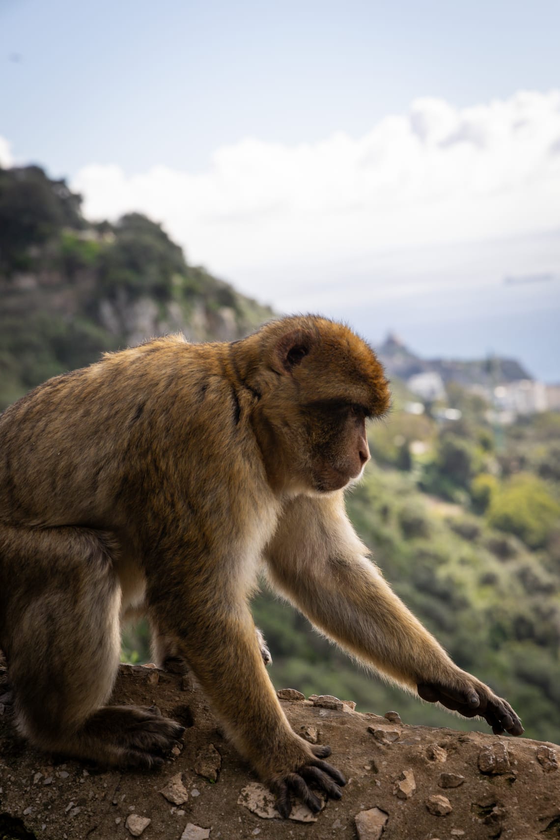 Gibraltar