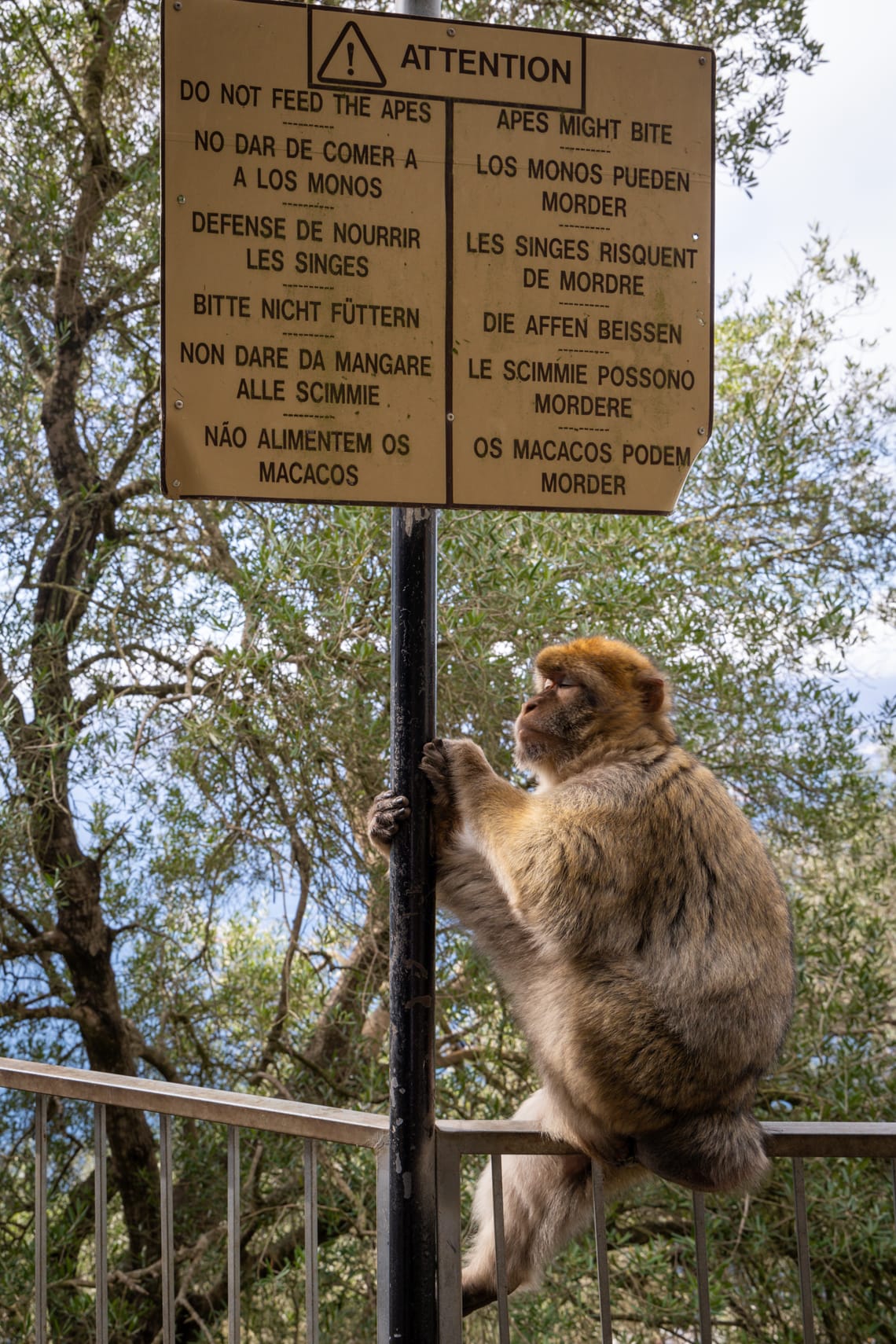 Gibraltar