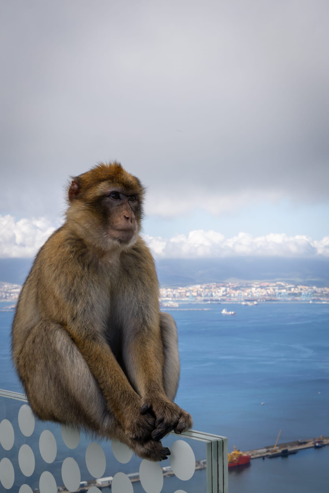 Gibraltar