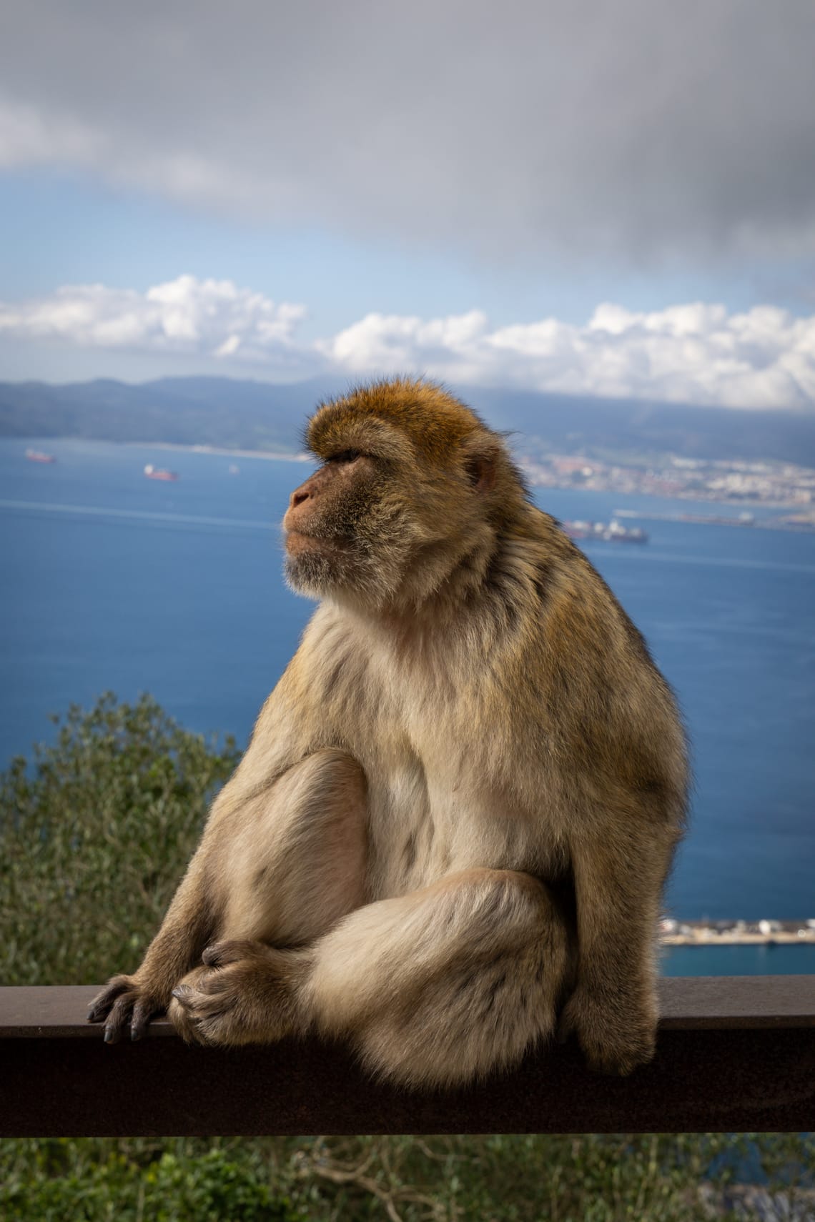 Gibraltar