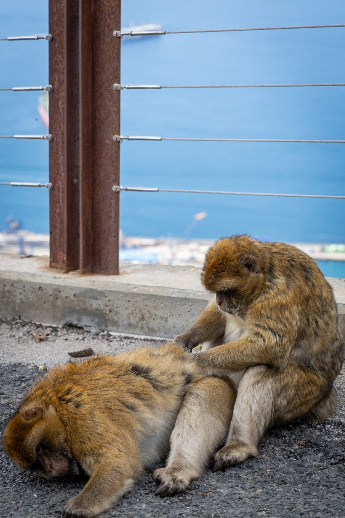 Gibraltar