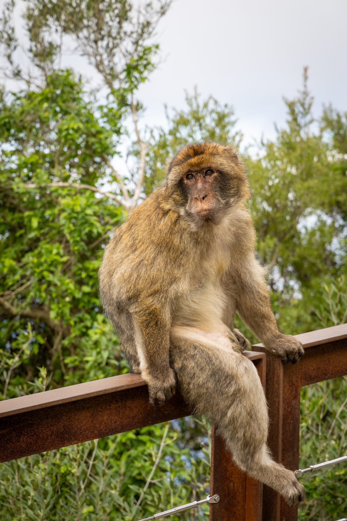 Gibraltar